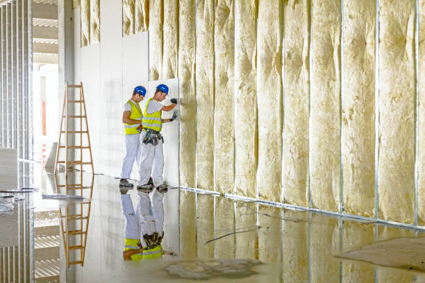 Best Insulation Installation Services in Little Rock, AR